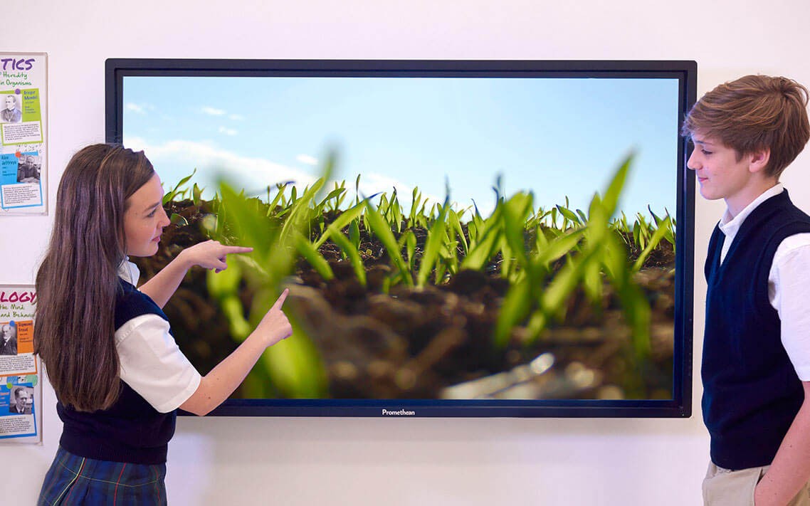 Promethean ActivPanel 65 - Imagen 2