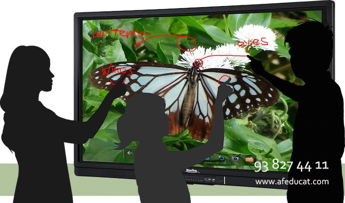 Monitor tàctil Q-brite NewLine 55"